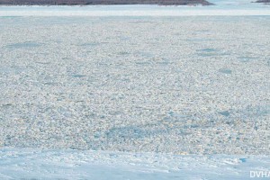 Ледостав на Амуре у Хабаровска установится на десять дней позже обычного